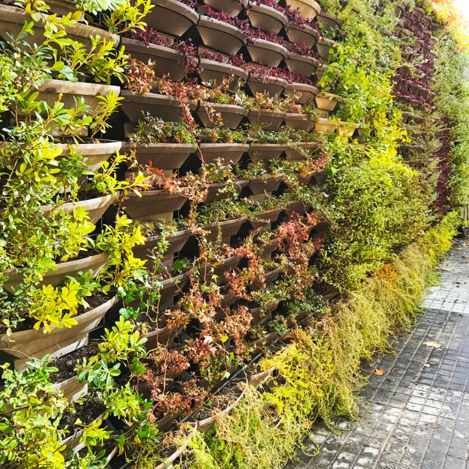 parque-araucano-3-940x940